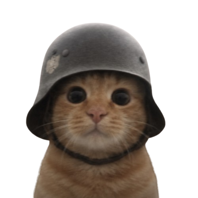 Trench Cat wearing a steel helmet